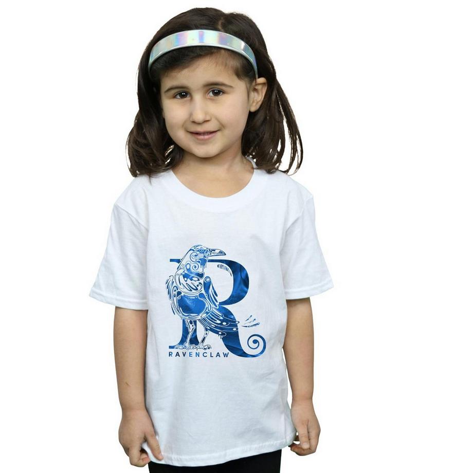 Harry Potter  Ravenclaw TShirt 