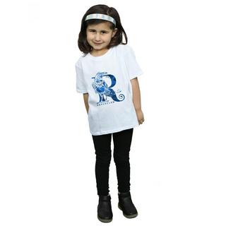 Harry Potter  Ravenclaw TShirt 