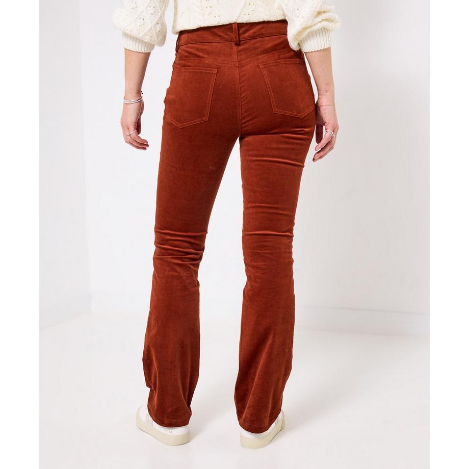 Joe Browns Stretch Moleskin Bootcut Hose  