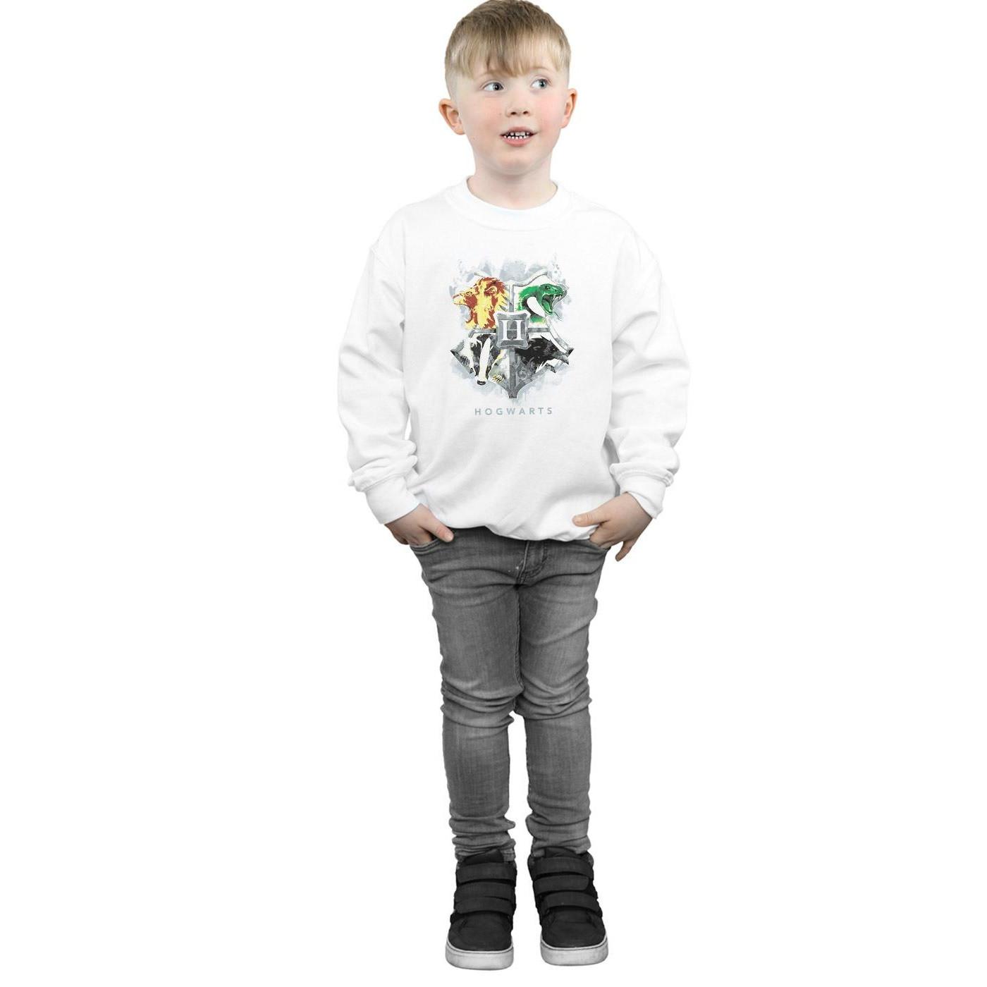 Harry Potter  Hogwarts Sweatshirt 