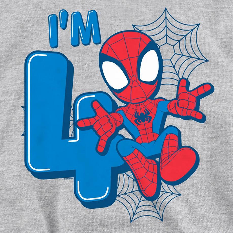 Spider-Man  Felpa Con Cappuccio 4° Compleanno Erica Da Indossare 