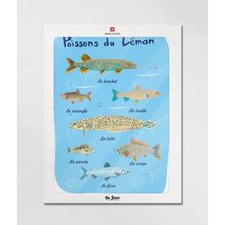 La-Jonx Poissons du Léman - Poster  