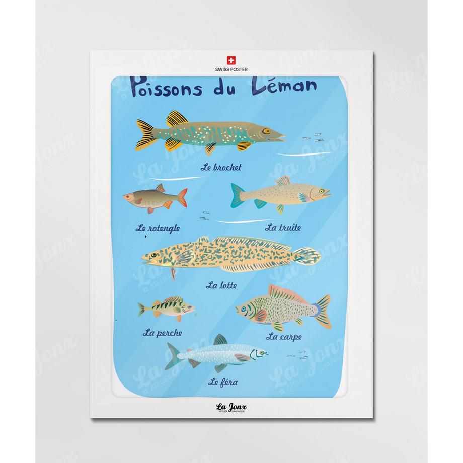 La-Jonx Poissons du Léman - Poster  
