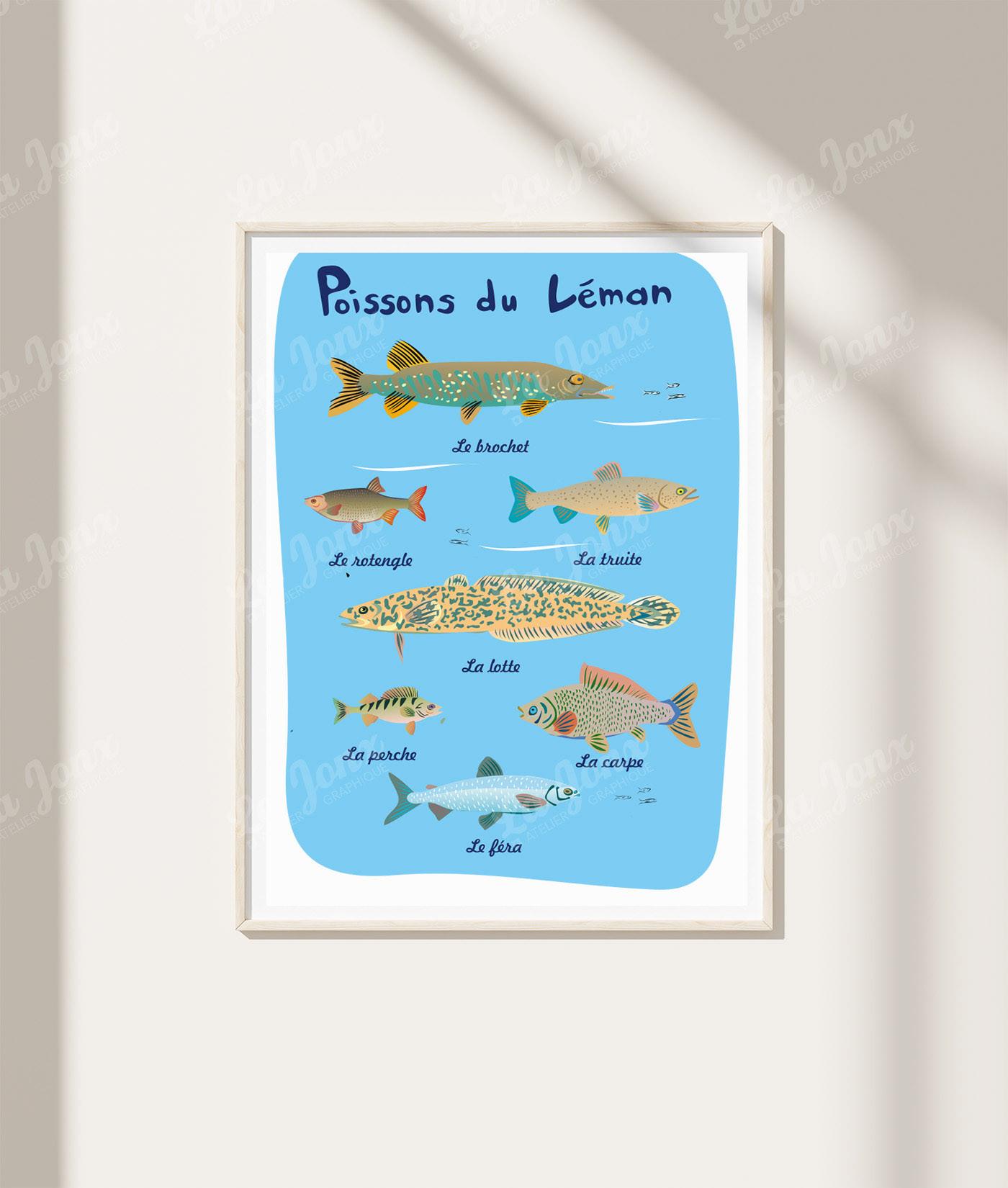 La-Jonx Poissons du Léman - Poster  