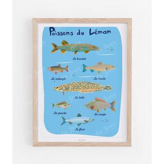 La-Jonx Poissons du Léman - Poster  