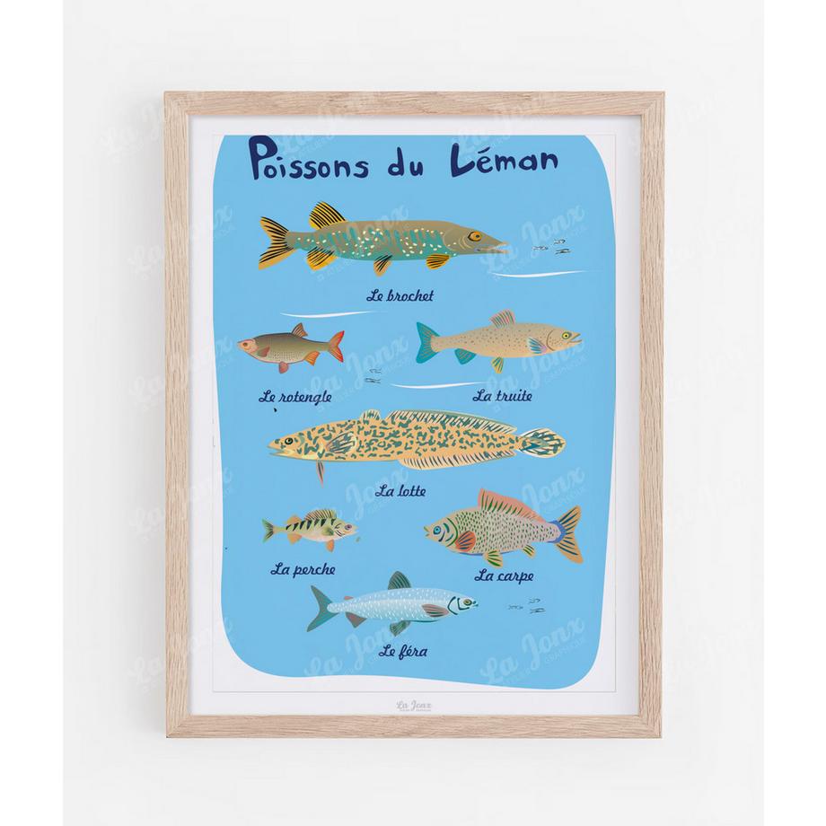 Affiche de Poissons du Léman