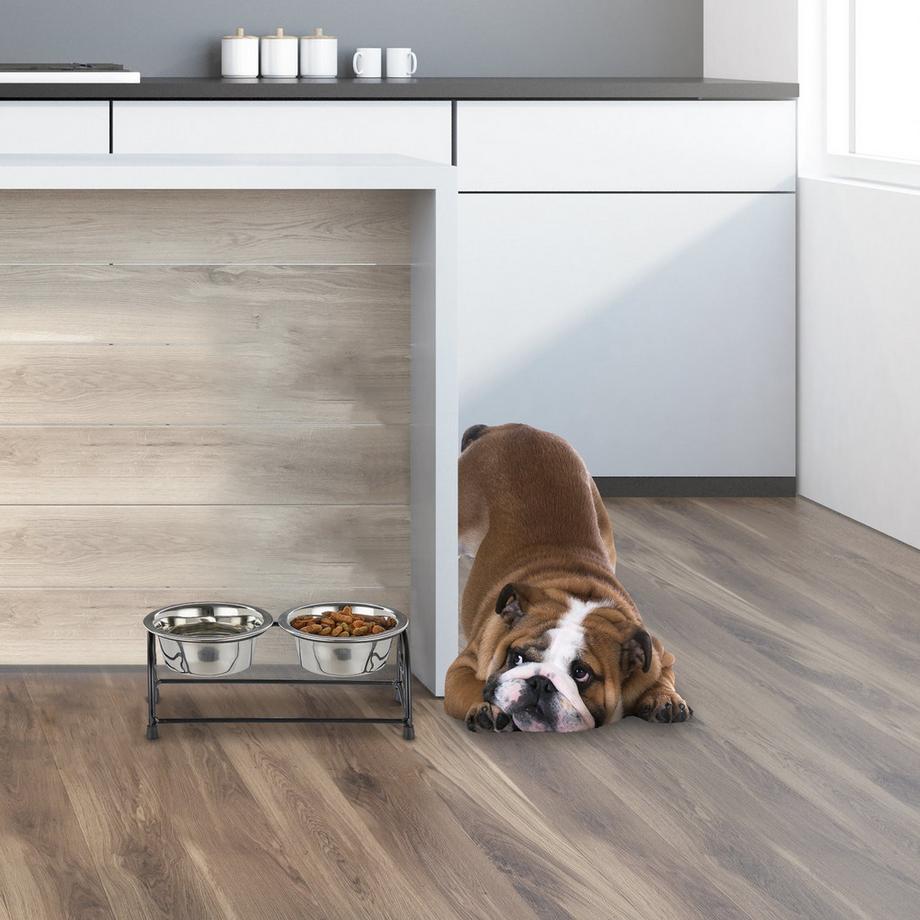 B2X  Ensemble de gamelles pour chien avec support 