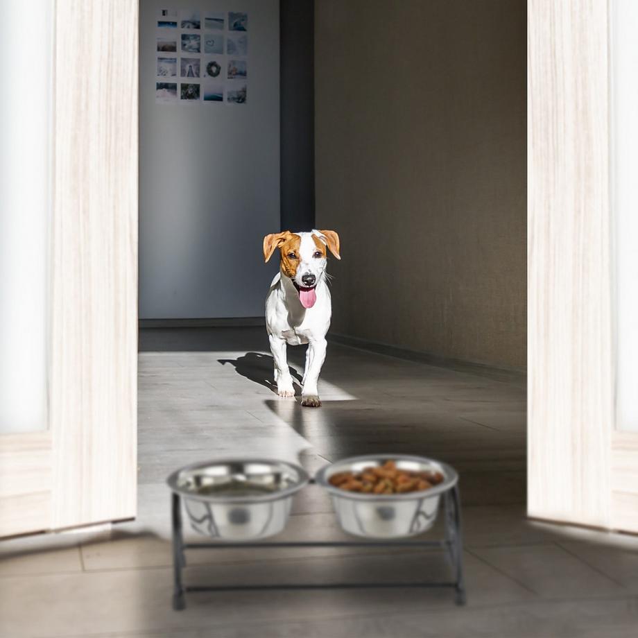 B2X  Ensemble de gamelles pour chien avec support 