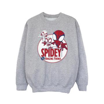 Spidey And His Amazing Friends Sweatshirt
