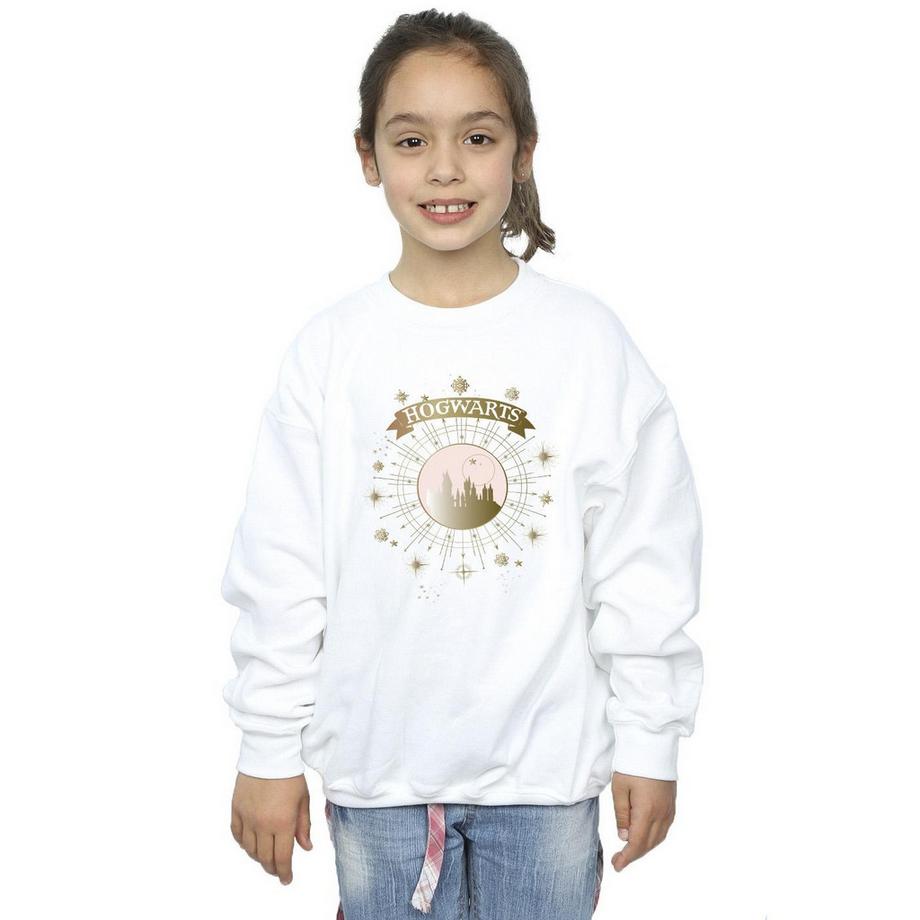 Harry Potter  Hogwarts Sweatshirt 