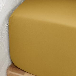 La Redoute Intérieurs Merida Fixleintuch aus vorgewaschener Baumwolle  