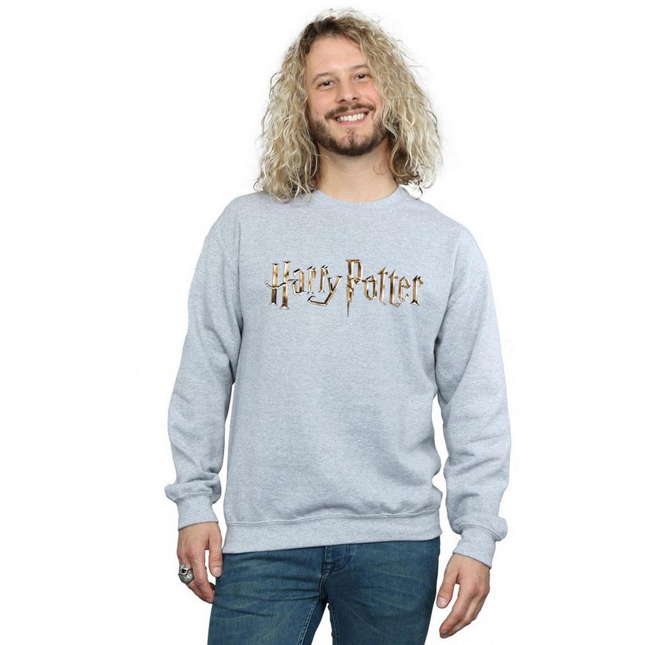 HARRY-POTTER Logo Sweatshirt  