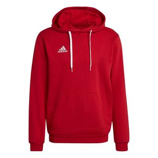 adidas Entrada 22 Sweatshirt à Capuche  
