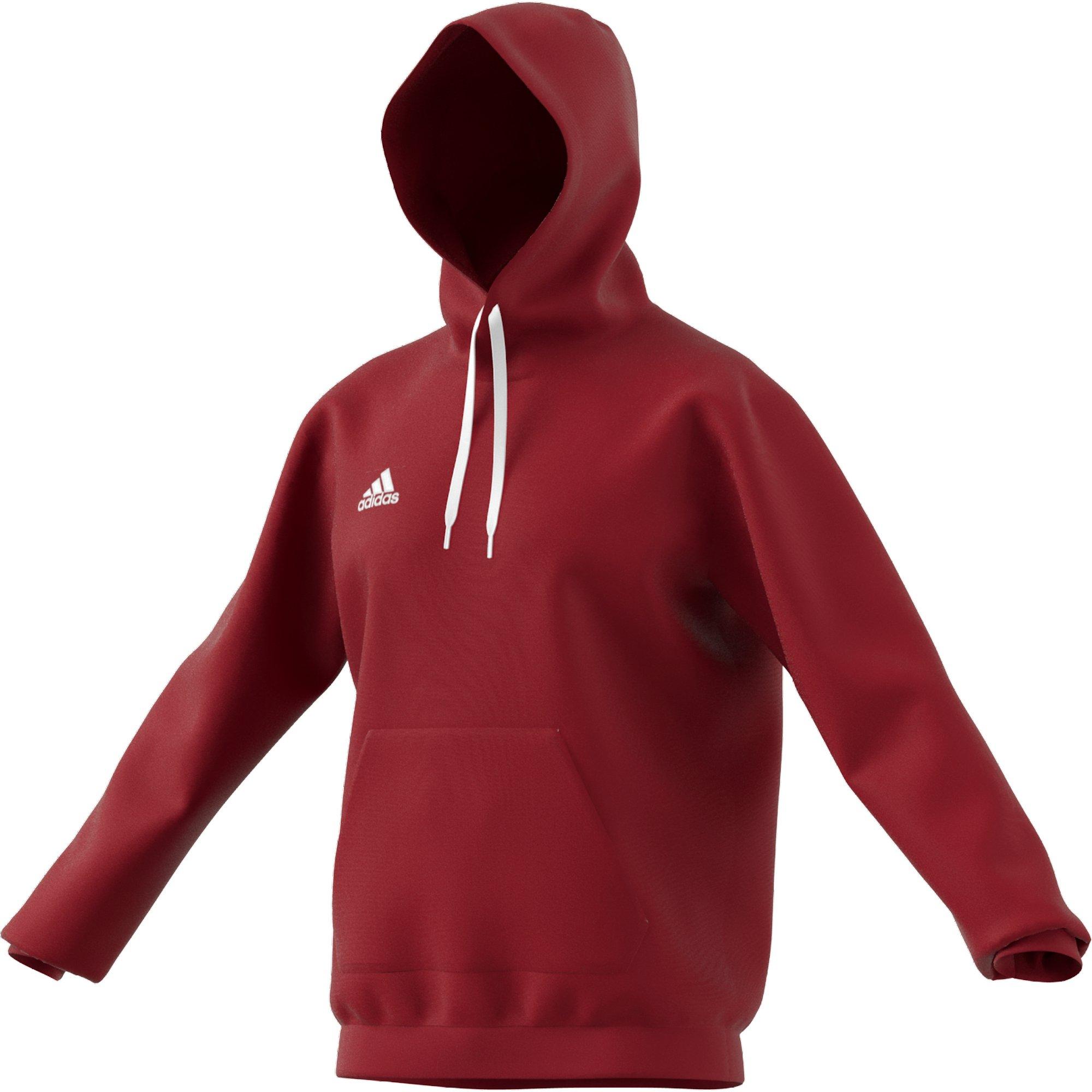 adidas Entrada 22 Sweatshirt à Capuche  