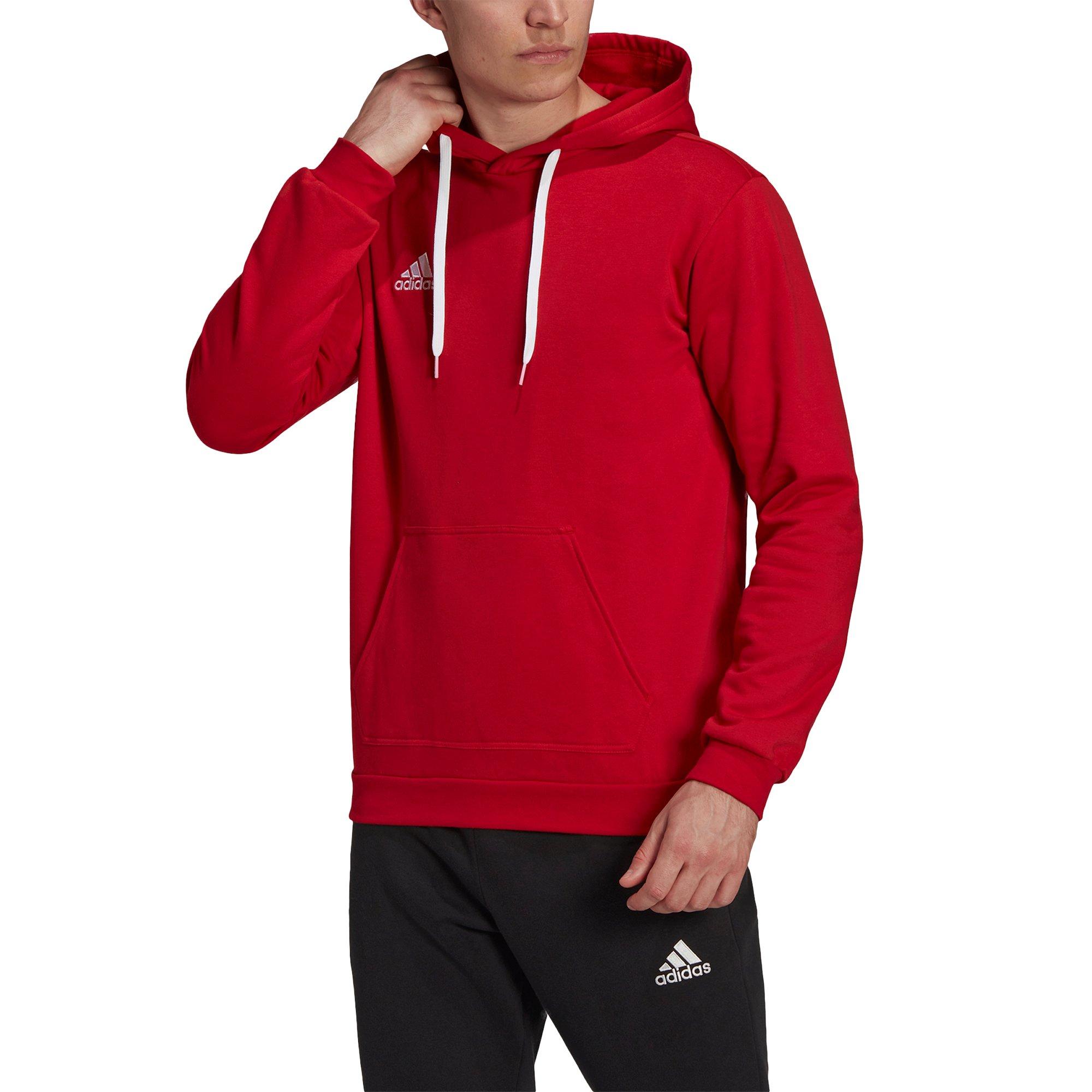 adidas Entrada 22 Sweatshirt à Capuche  
