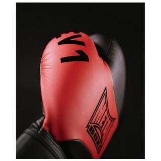 METALBOXE  Gants de Boxe EV1 Compétition 