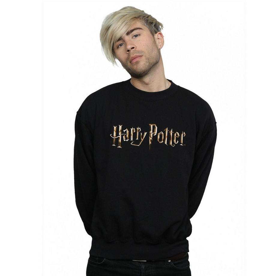 Harry Potter Logo Sweatshirt  