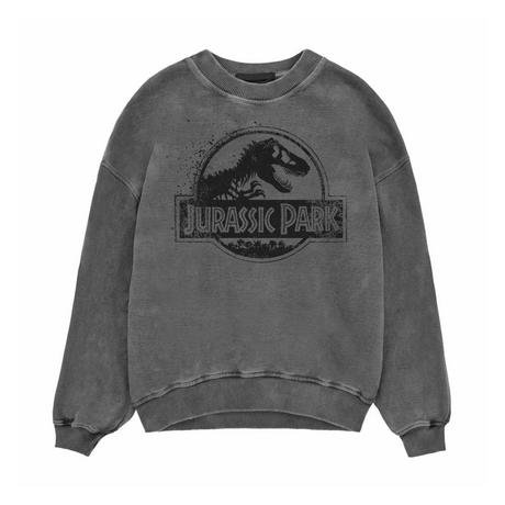 Jurassic Park  Sweatshirt 