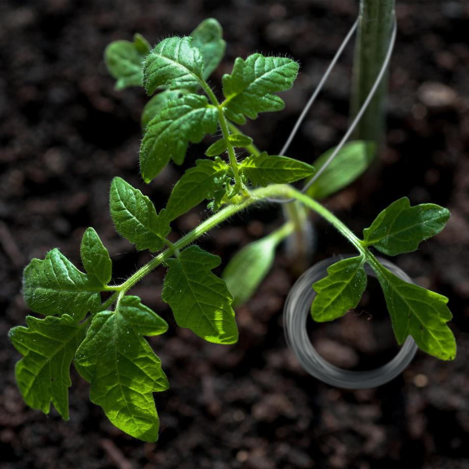 B2X Satz mit 3 verzinkten Verbindungsleinen  