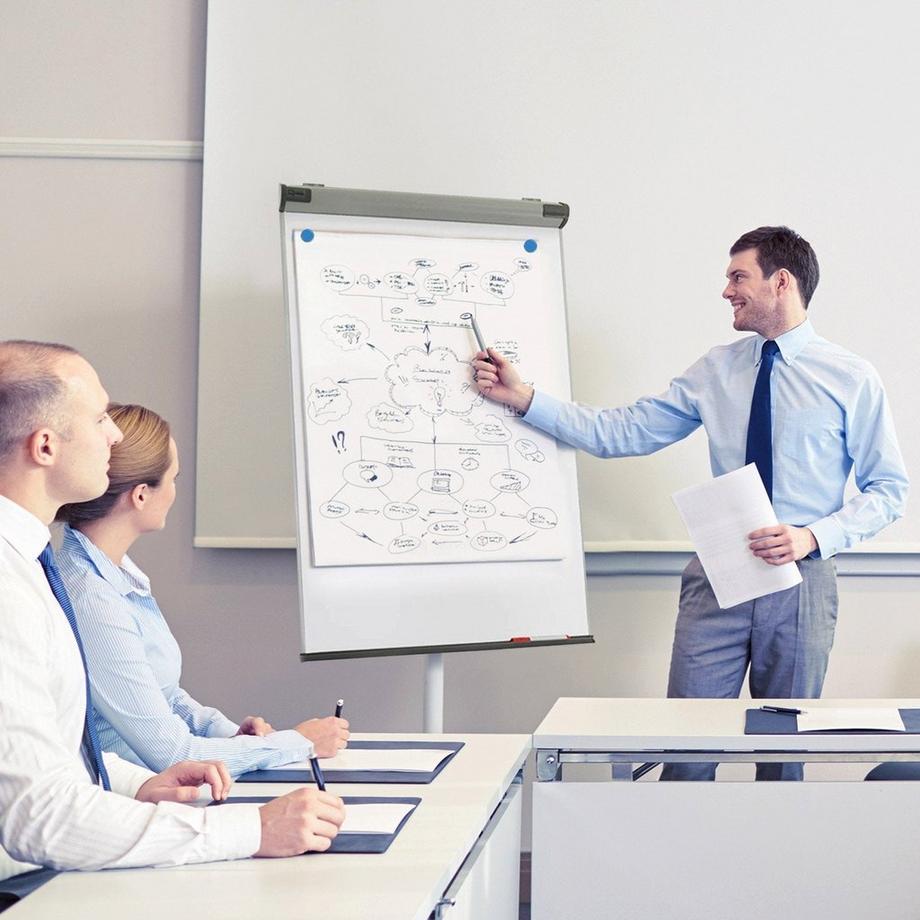 Master of Boards  Mobiles Flipchart Piranha | Sternfuss 