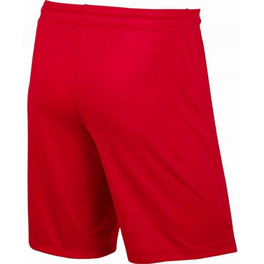 NIKE  Short Dry Park 