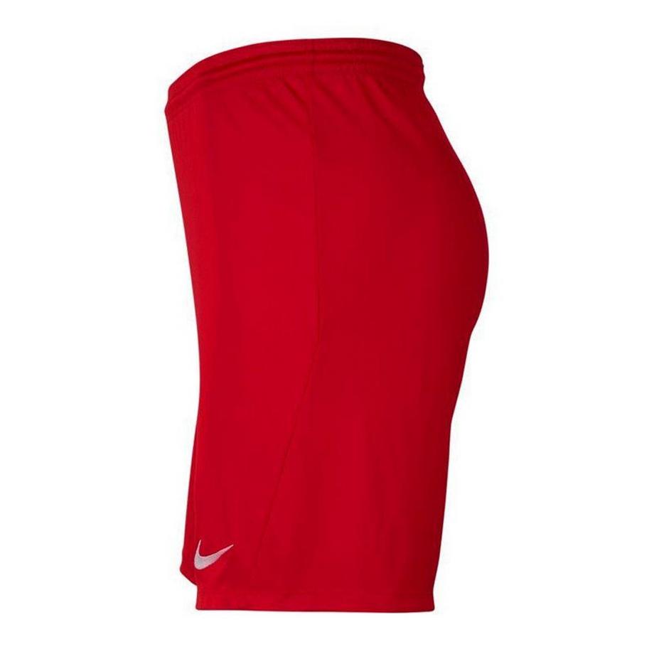 NIKE  Short Dry Park 