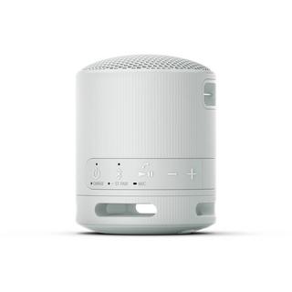 SONY  XB100 Tragbarer kabelloser Lautsprecher 