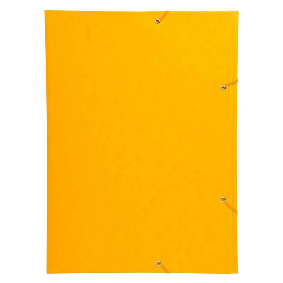 Exacompta Chemise à élastique 3 rabats carte lustrée 600gm2 - A3 - x 10  