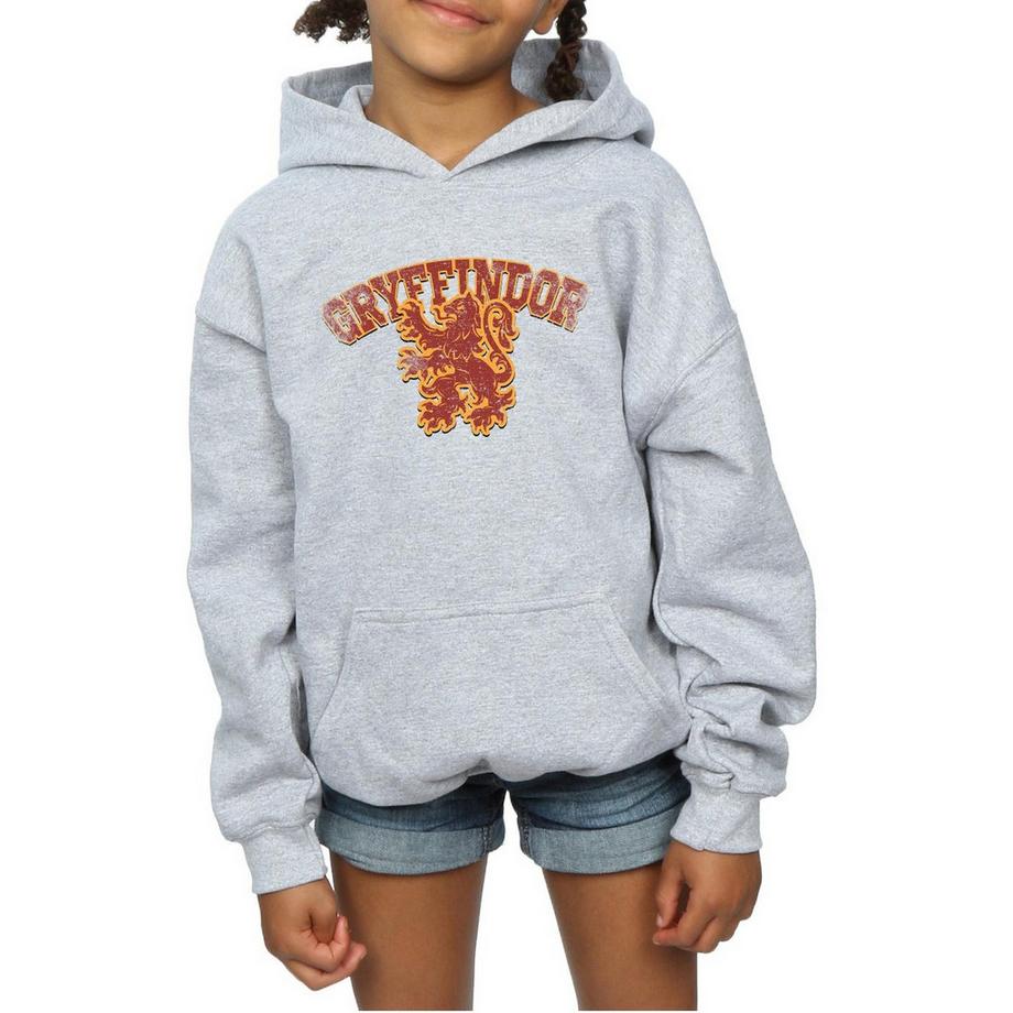 Harry Potter  Gryffindor Kapuzenpullover 