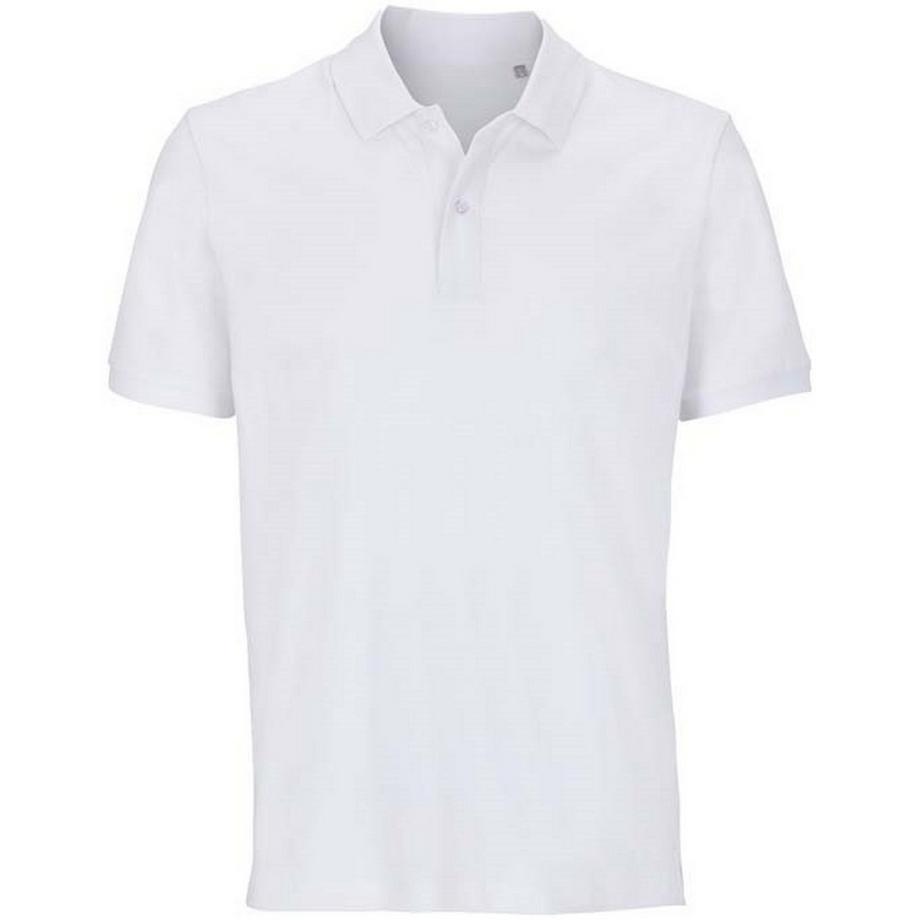 Polo Pegase