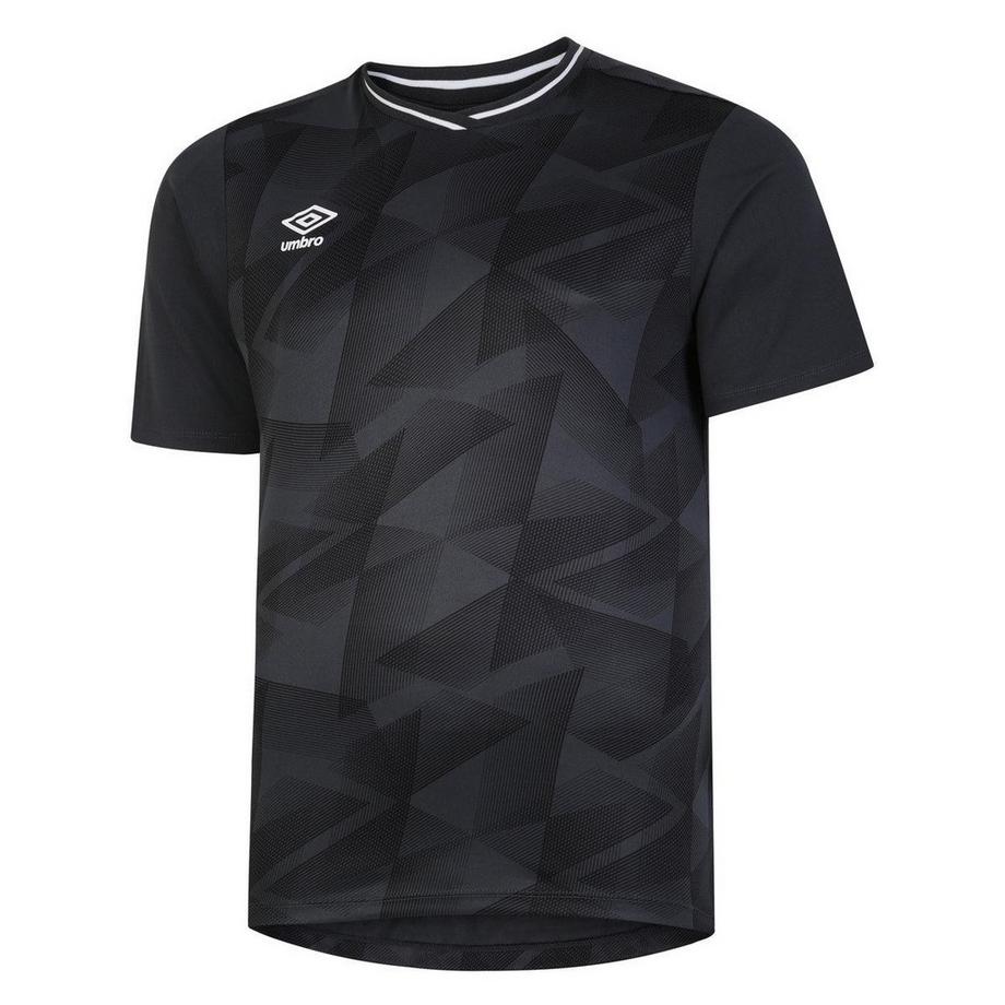 Maillot Triassic
