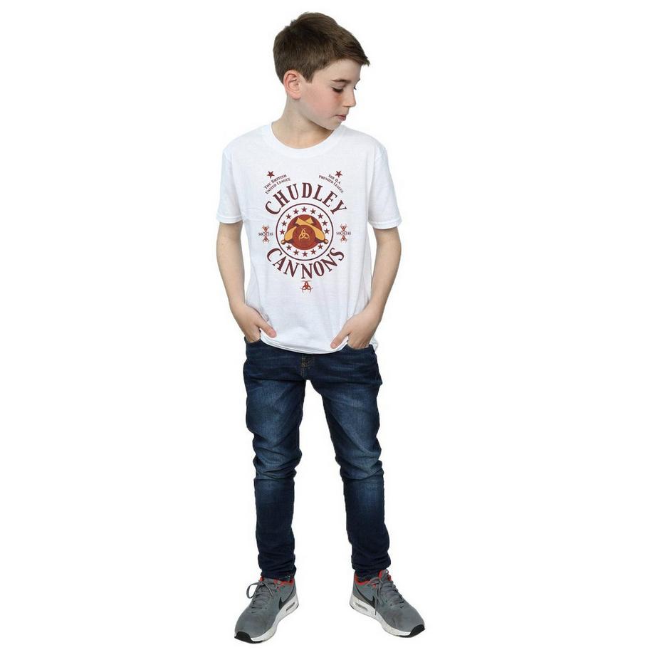 Harry Potter  Chudley Cannons TShirt 