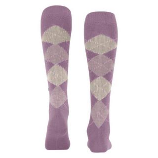 Burlington Whitby Argyle Calze al Ginocchio  