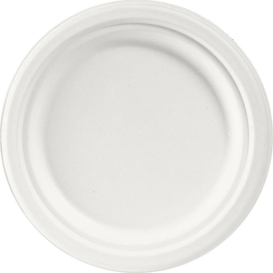 Einwegteller Bagasse 50 Stück