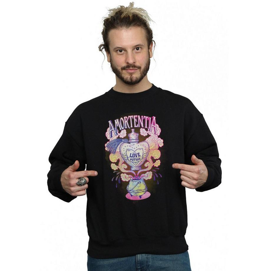 Harry Potter Amortentia Potion d'Amour Sweatshirt  