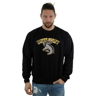 Harry Potter  Sweatshirt 