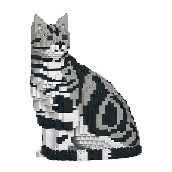 Image of Jekca Limited American Shorthair Cat