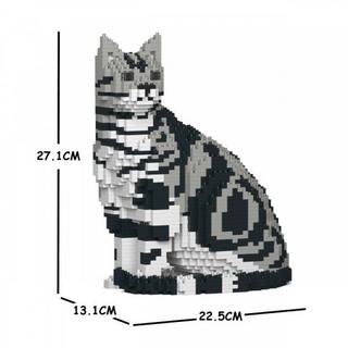 Jekca Limited  American Shorthair Cat 