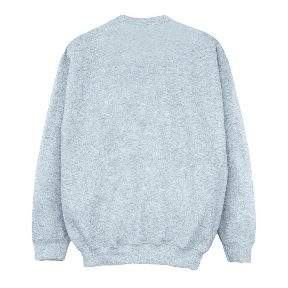 HARRY-POTTER  Hogwarts Sweatshirt 