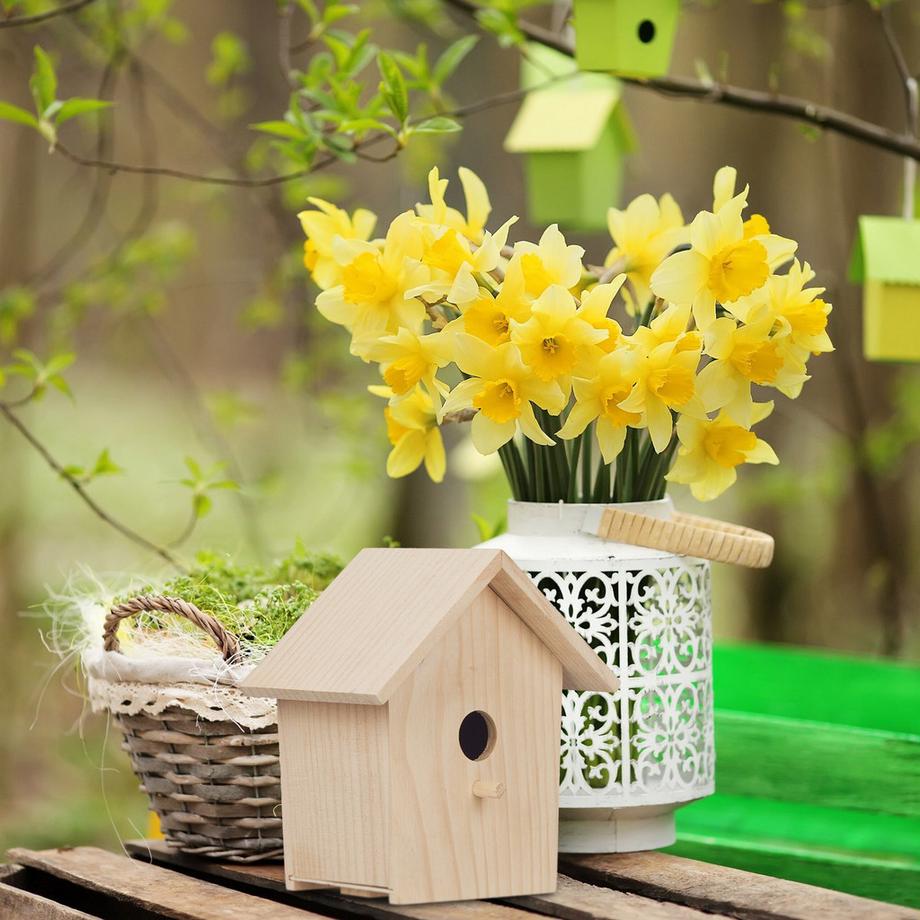 B2X  Casetta per uccelli decorativa da appendere 