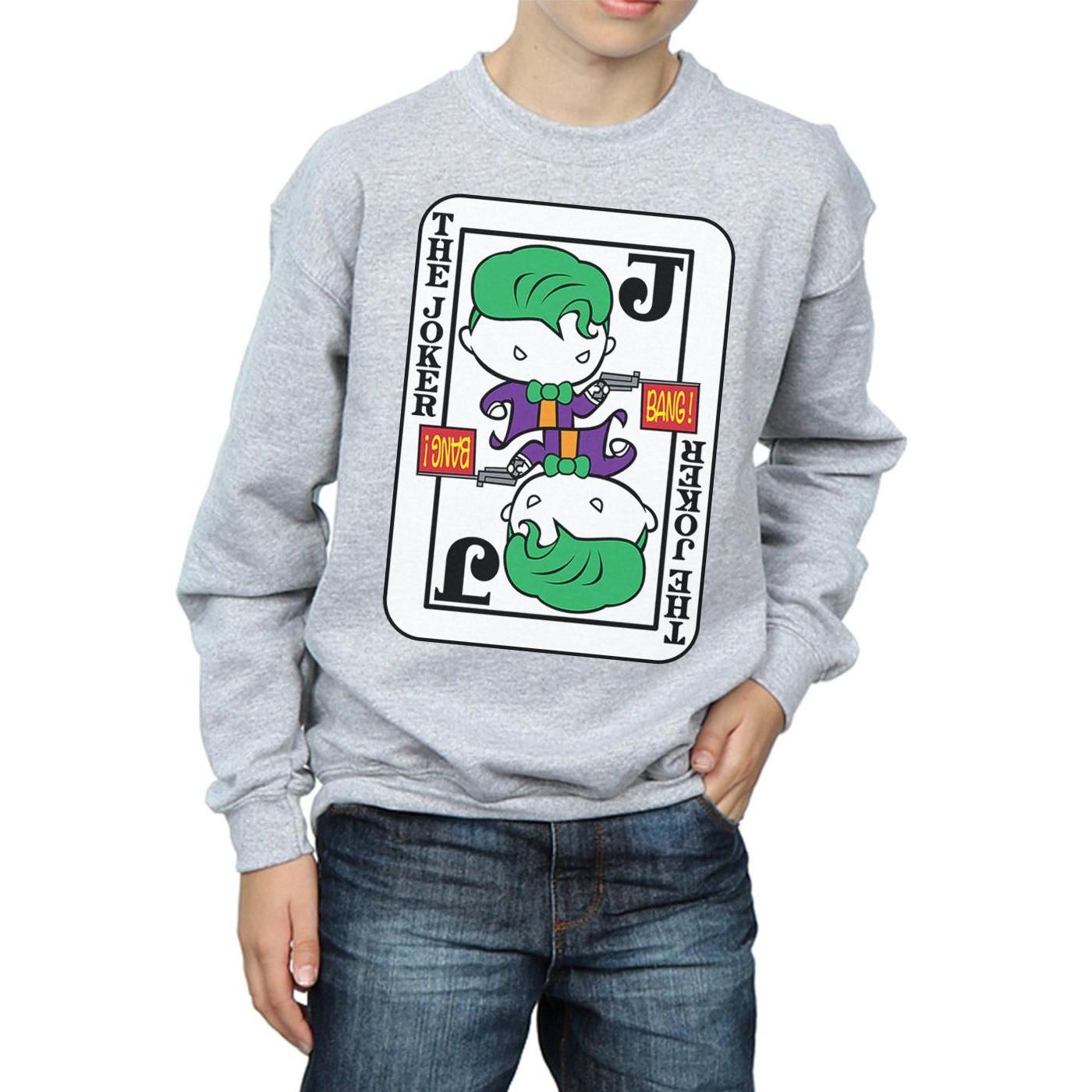 DC COMICS  Sweatshirt 