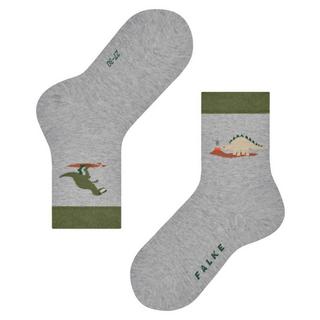 FALKE  FALKE Dinosaurs-27-30 