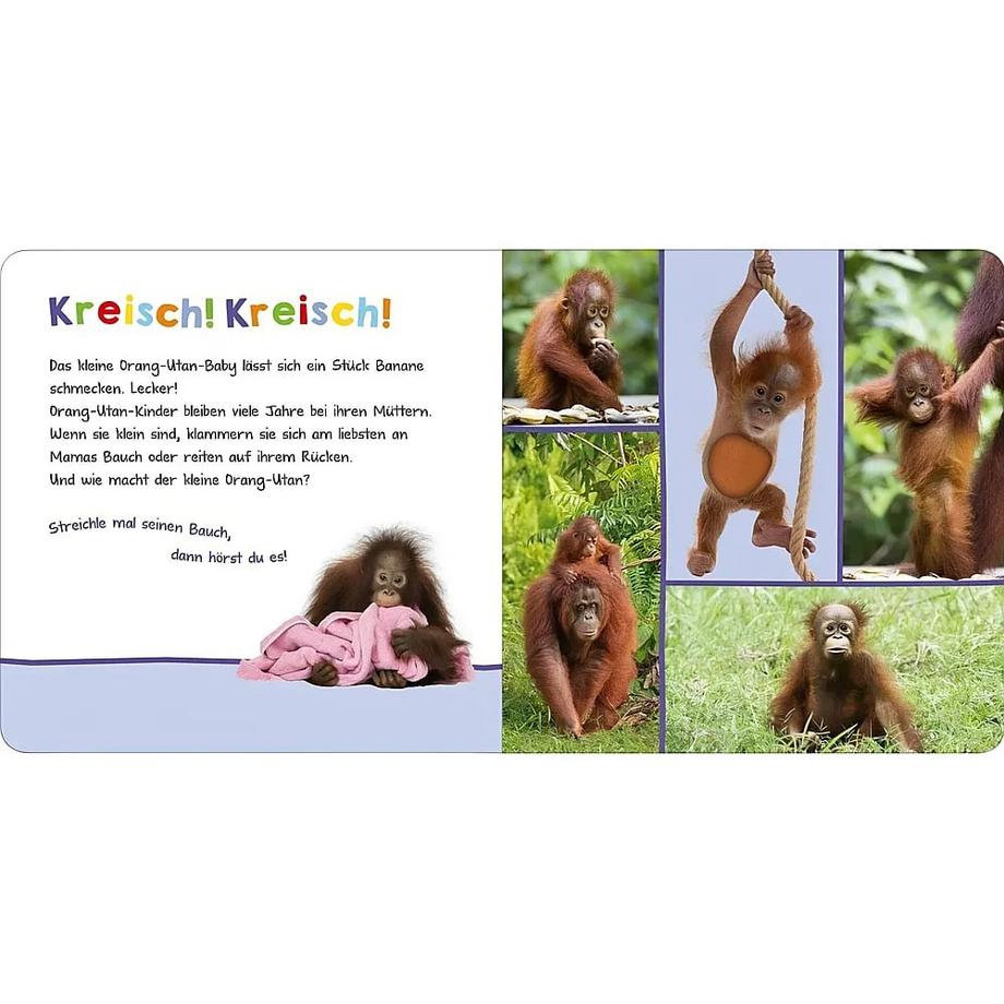 Hör mal rein, wer kann das sein? - Tierbabys Kein Autor Copertina rigida 