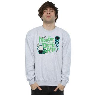 Harry Potter Voldemort Dark Arts Junior Sweatshirt  