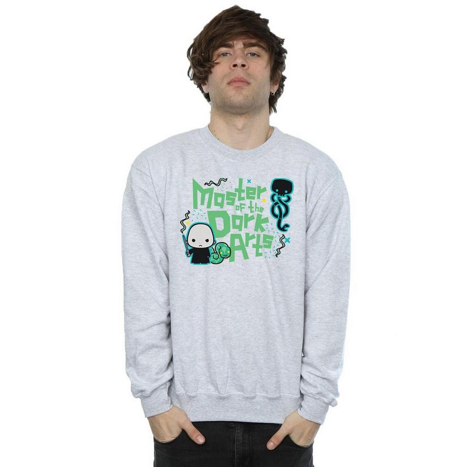 Harry Potter Voldemort Dark Arts Junior Sweatshirt  