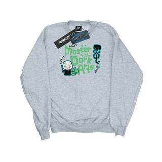 Harry Potter Voldemort Dark Arts Junior Sweatshirt  