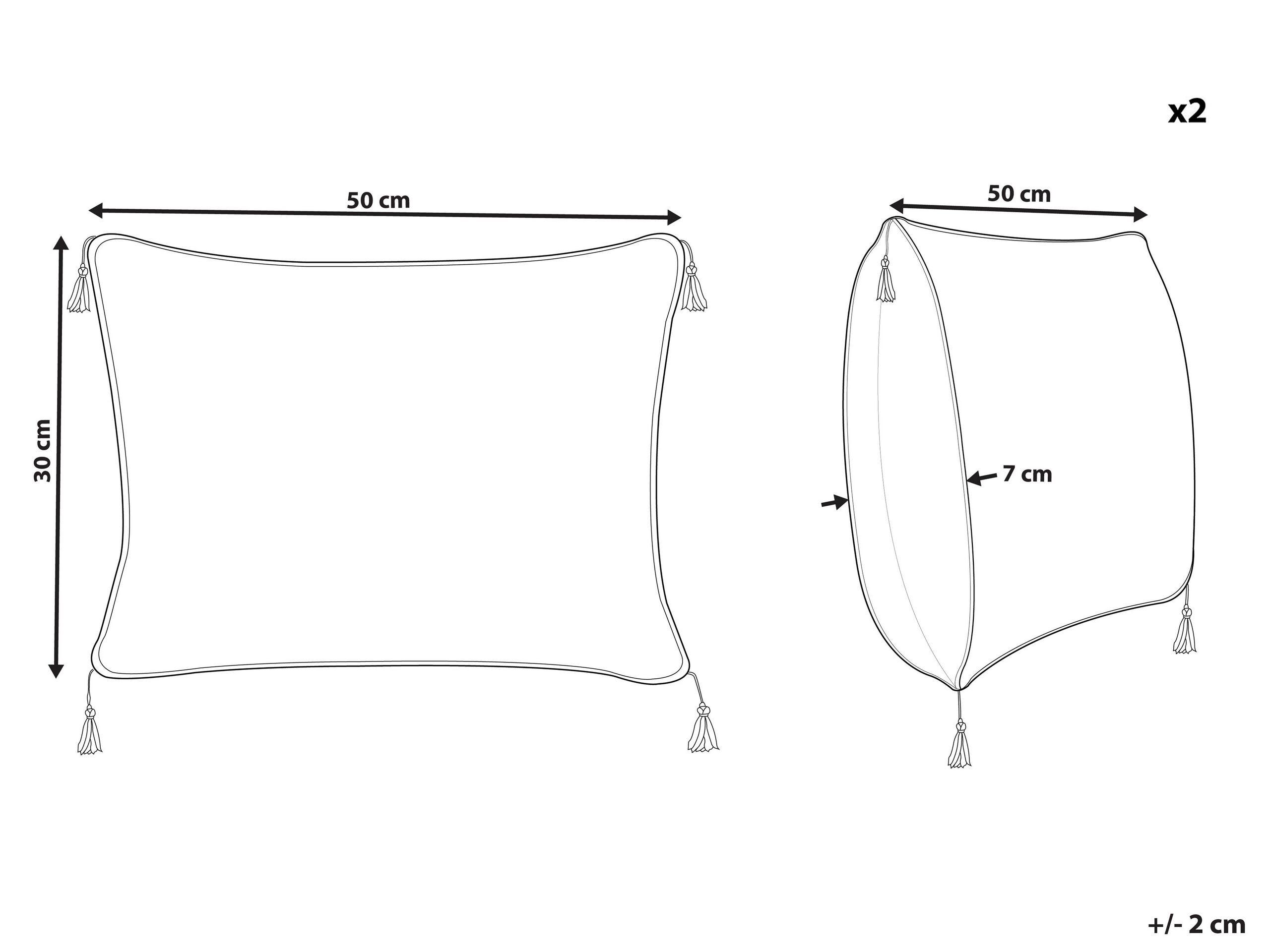 Beliani Lot de 2 coussins décoratifs en Velours Moderne SCHEFFLERA  