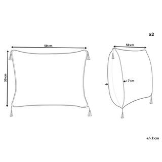 Beliani Kissen 2er Set aus Samtstoff Modern SCHEFFLERA  