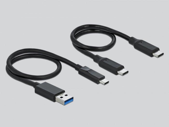 DeLock  LETTORE DI SCHEDE USB TYPE-C PER SCHEDE DI MEMORIA CFAST E SD + HUB USB CON PORTA DI TIPO-A E USB TYPE-C 