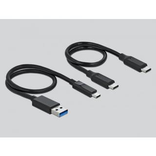 DeLock  LETTORE DI SCHEDE USB TYPE-C PER SCHEDE DI MEMORIA CFAST E SD + HUB USB CON PORTA DI TIPO-A E USB TYPE-C 